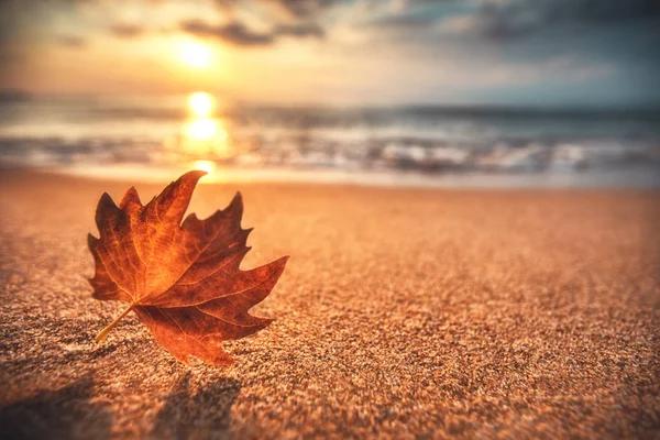 30% Otoño Dorado en los Cabos Grand Solmar Pacific Dunes Cabo San Lucas 30% Otoño Dorado en los Cabos Grand Solmar Pacific Dunes Cabo San Lucas