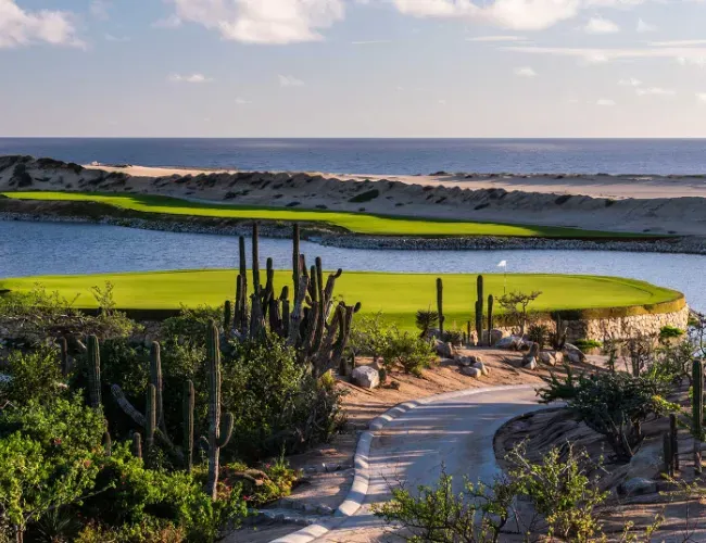 Contacto Solmar Hotels & Resorts Contacto Solmar Hotels & Resorts