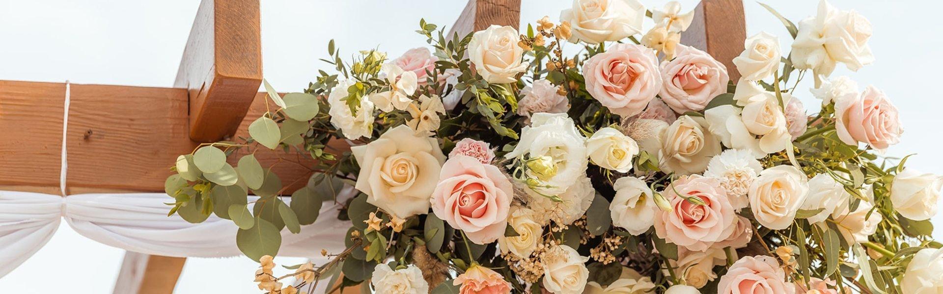 The Ridge at Playa Grande Cabo San Lucas   The Ridge at Playa Grande Cabo San Lucas