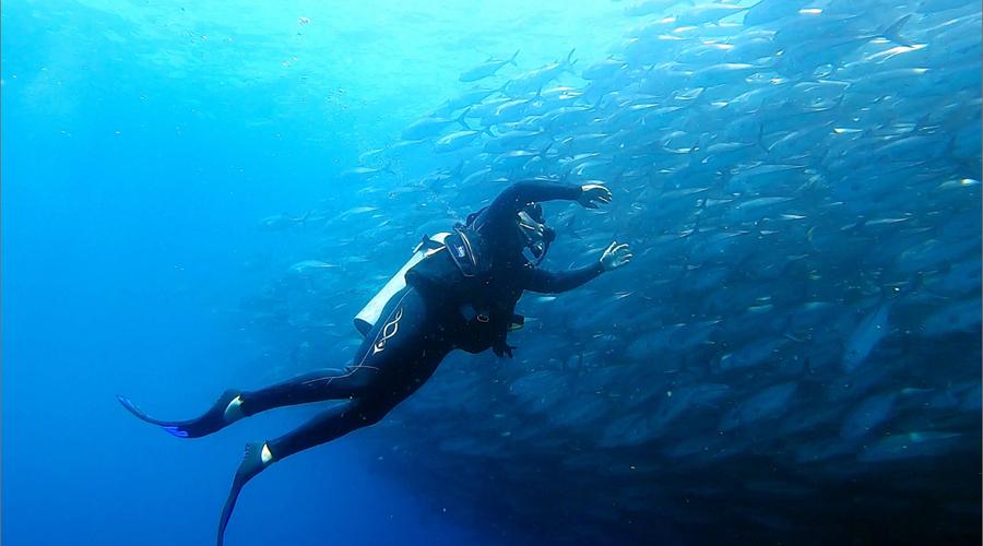 Solmar Hotels & Resorts Solmar Hotels & Resorts