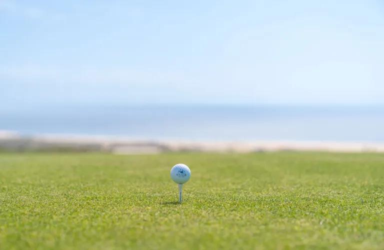 Solmar Hotels & Resorts Solmar Hotels & Resorts